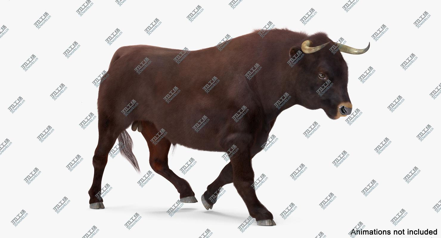 images/goods_img/202104094/3D Bull Rigged with Fur/3.jpg